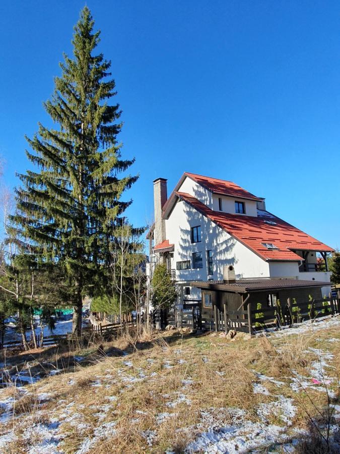 Hôtel Vila Berlin à Poiana Brasov Extérieur photo